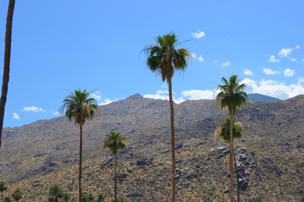 Musicland Hotel Palm Springs Buitenkant foto