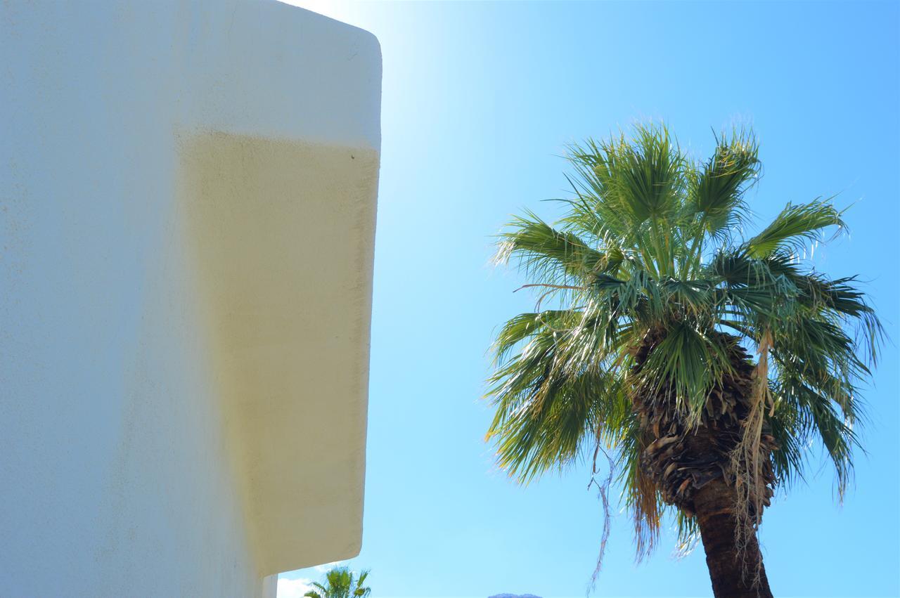 Musicland Hotel Palm Springs Buitenkant foto
